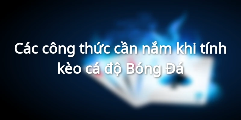 Cách tính cá độ Bóng Đá thông qua công thức thắng thua
