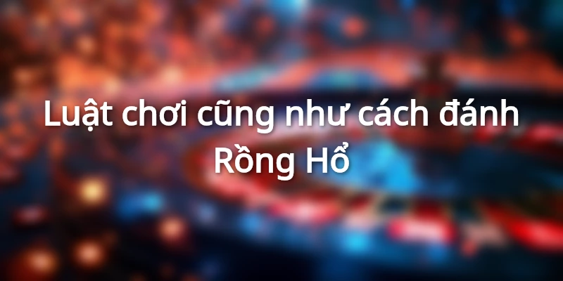 Cách đánh Rồng Hổ và hướng dẫn luật chơi bộ môn này