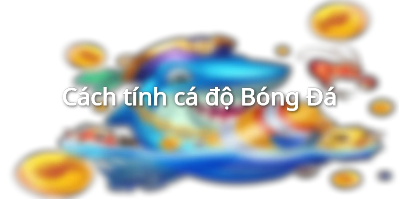 Cách tính cá độ Bóng Đá