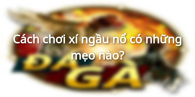 Cách chơi xí ngầu nổ hiệu quả hơn bao giờ hết