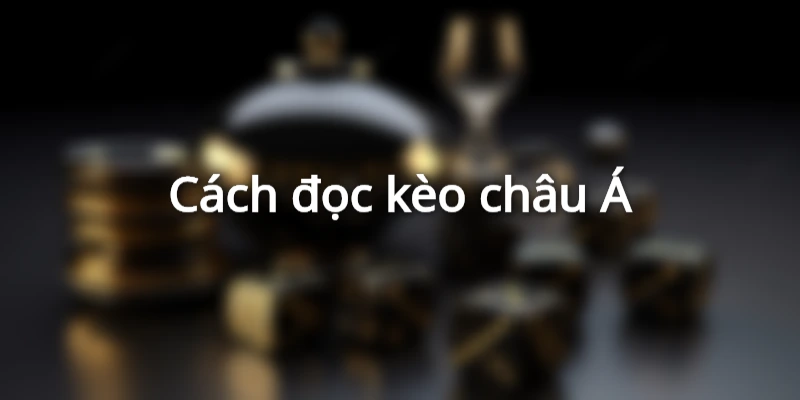 Cách đọc chi tiết trong bảng tỷ lệ 