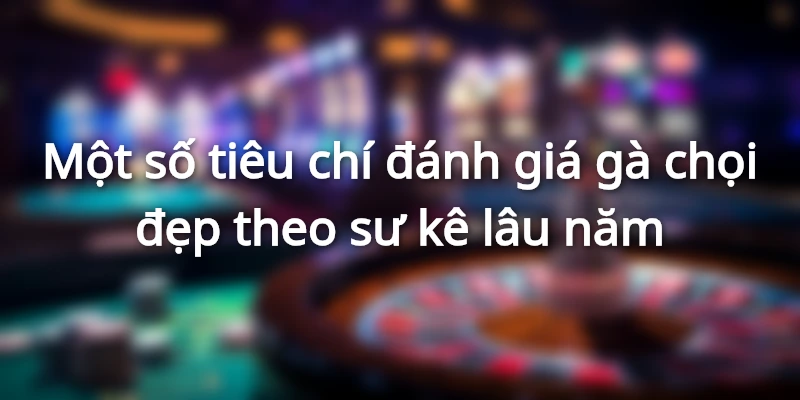 Tiêu chí đánh giá gà chọi đẹp theo sư kê lâu năm