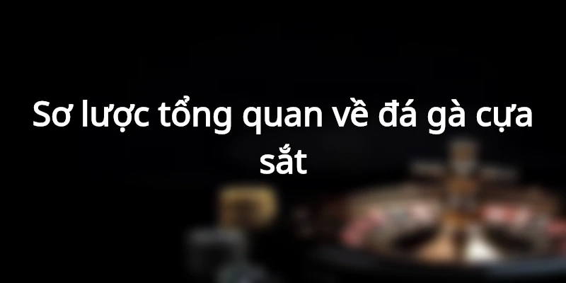 Kê chiến trang bị thêm cựa sắt để tăng sát thương